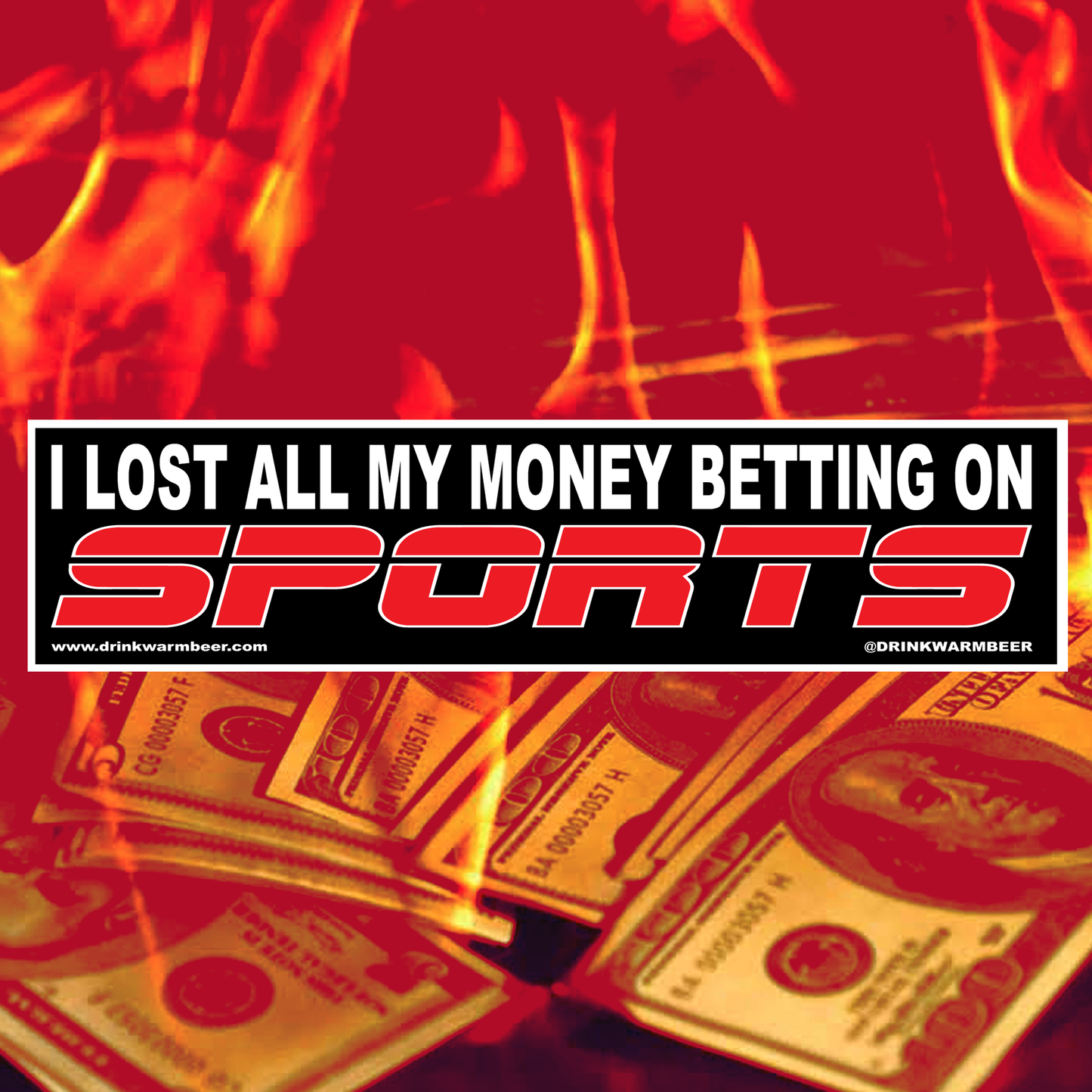 Lost All My Money Bumper Sticker