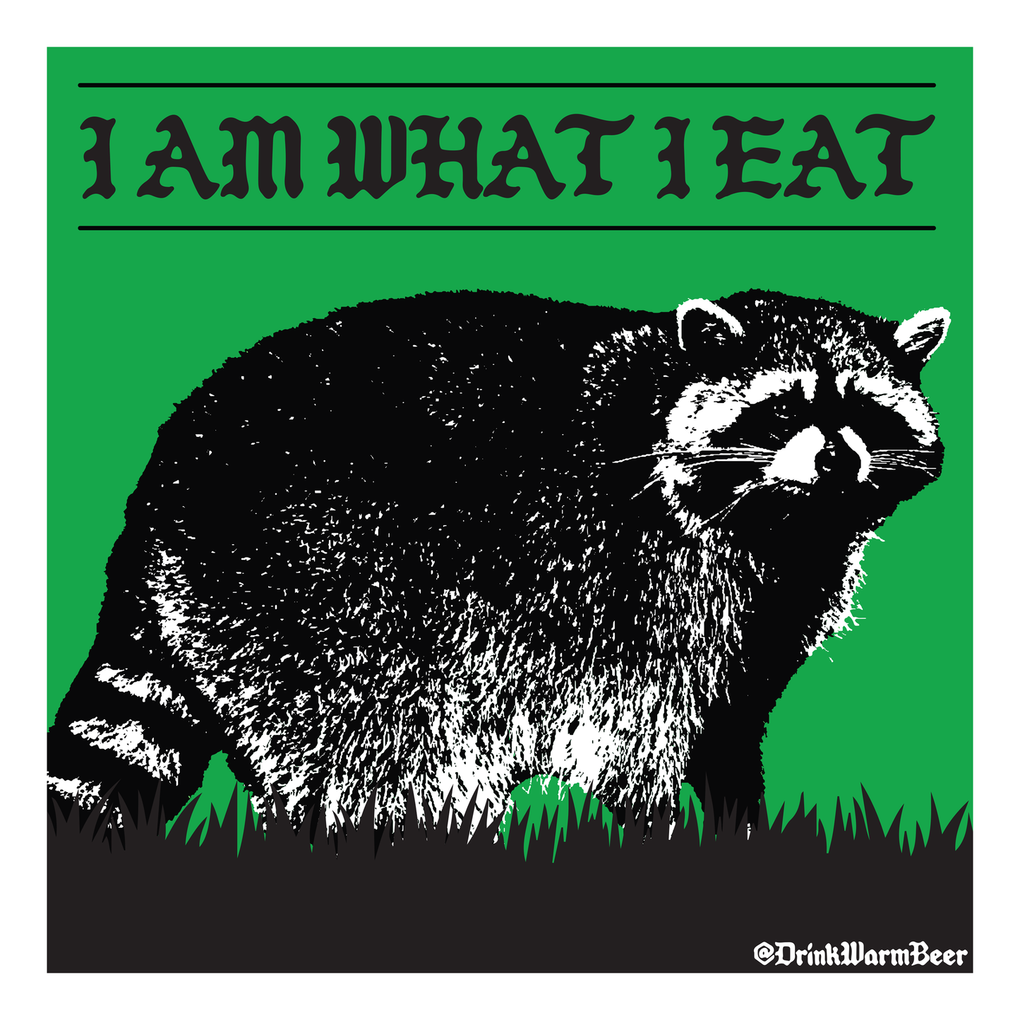 Raccoon Sticker